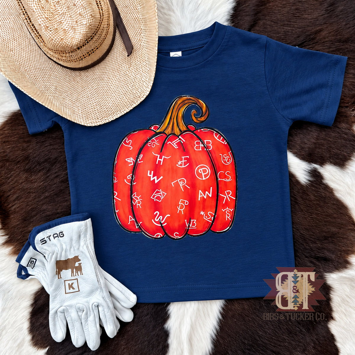 *Brand Pumpkins- PINK AND NAVY BLUE