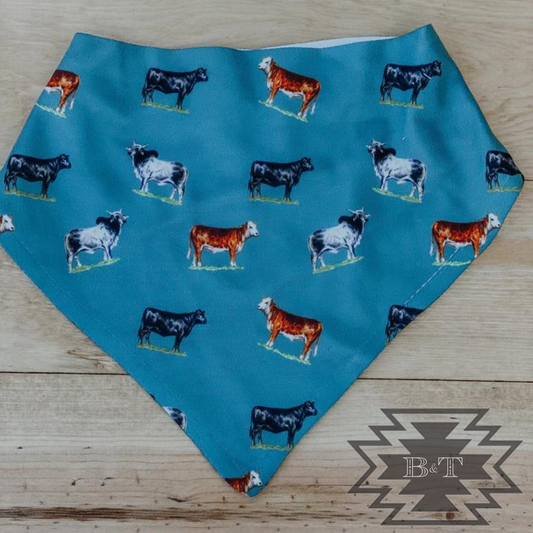 Bred For Success Drool Bib
